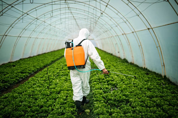 Best Pest Control Near Me  in Lakeside, OR