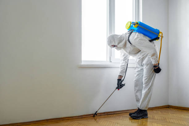Best Wasp Removal Services  in Lakeside, OR