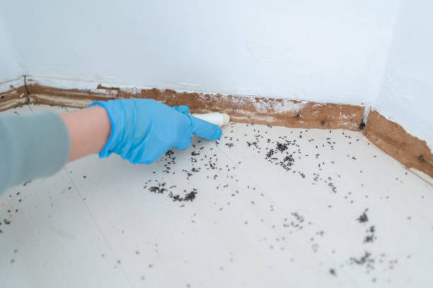 Best Residential Pest Control  in Lakeside, OR
