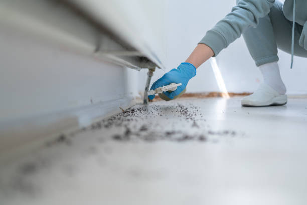Wildlife Control Services in Lakeside, OR