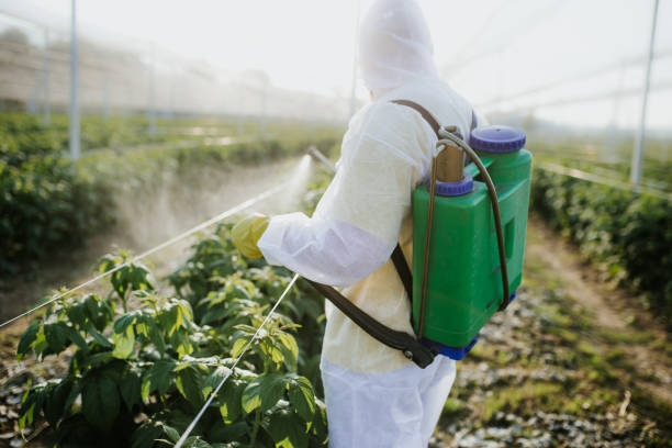 Best Emergency Pest Control  in Lakeside, OR